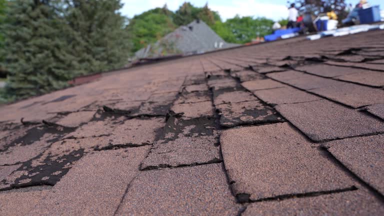 Best Cold Roofs  in Jeffersonville, OH